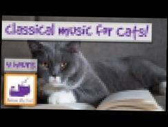 музыка сон для кошек помочь с разлуки