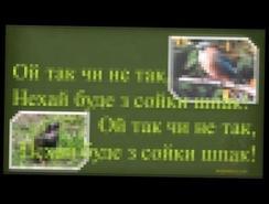 Українська народна пісня "Сіяв мужик просо" - мінус зі