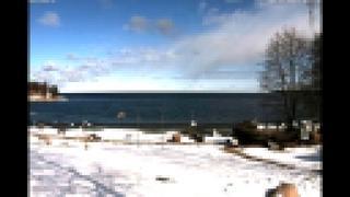  Зима обнимается с весной Лес море и Таллинн Эстония Winter
